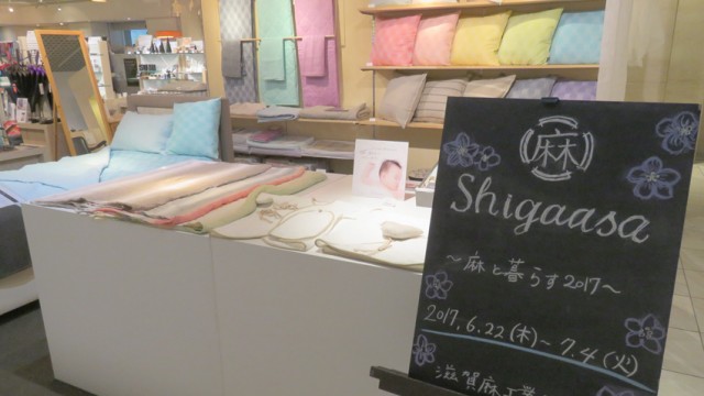 shigaasa2017_01