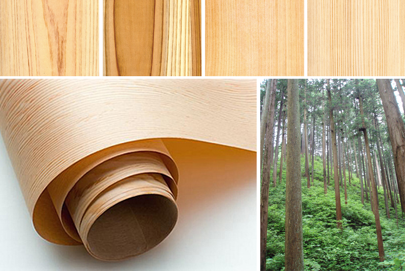 日本の住まい 天然素材の敷物 壁紙 展 のご紹介 天然木の壁紙ウッドピール 埼玉 Monova 日本のモノづくりのシェアショールーム